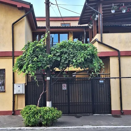 Pensionat Trandafir